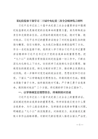 某纪检监察干部学习二十届中央纪委三次全会精神发言材料
