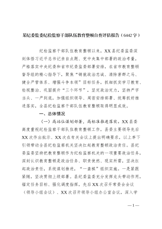 某纪委监委纪检监察干部队伍教育整顿自查评估报告