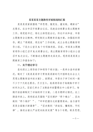 某某某某主题教育开展情况的汇报