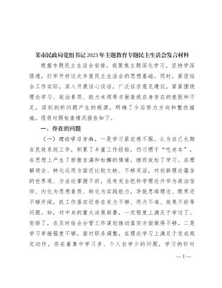 某市民政局党组书记2023年主题教育专题民主生活会发言材料