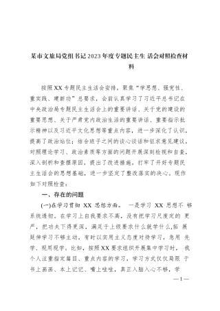 某市文旅局党组书记2023年度专题民主生活会对照检查材料