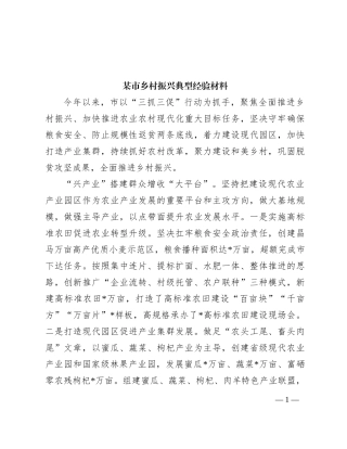 某市乡村振兴典型经验材料