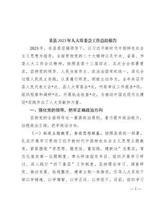 某县2023年人大常委会工作总结报告(1)