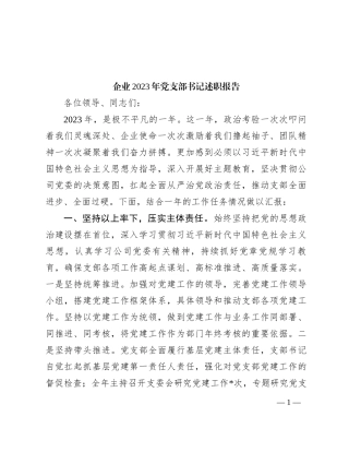 企业2023年党支部书记述职报告