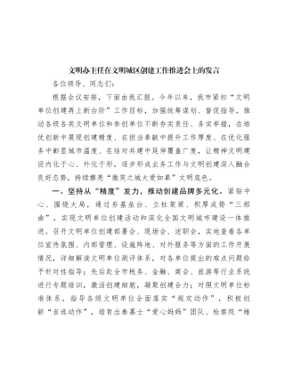文明办主任在文明城区创建工作推进会上的发言