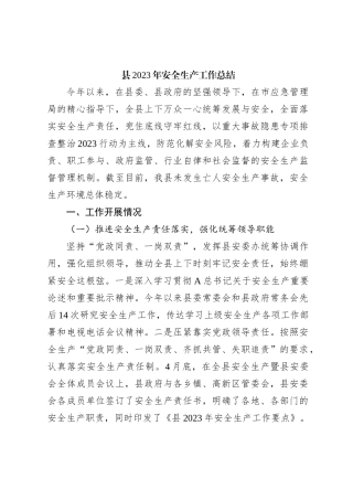 县2023年安全生产工作总结