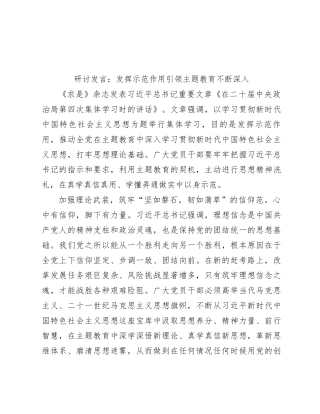 研讨发言：发挥示范作用  引领主题教育不断深入