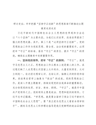 研讨发言：牢牢把握“坚持守正创新”的思想真谛 不断推动主题教育走深走实