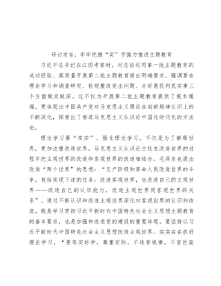 研讨发言：牢牢把握“实”字 强力推进主题教育