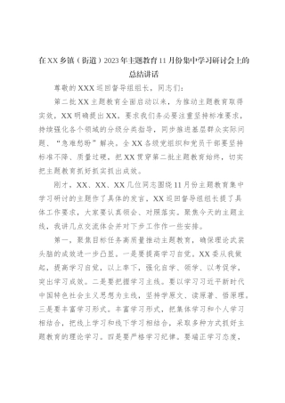 在XX乡镇（街道）2023年主题教育11月份集中学习研讨会上的总结讲话