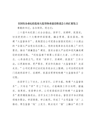 在国有企业纪检监察大监督体系建设推进会上的汇报发言