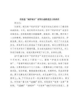 在街道“双护双百”攻坚行动推进会上的讲话有重名 166482