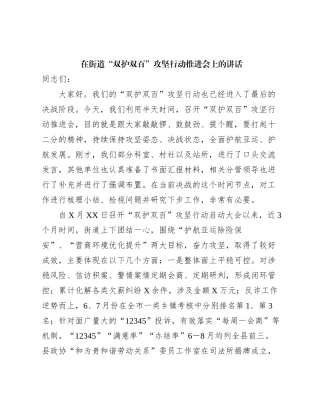 在街道双护双百攻坚行动推进会上的讲话