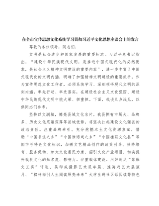 在全市宣传思想文化系统学习贯彻习近平文化思想座谈会上的发言