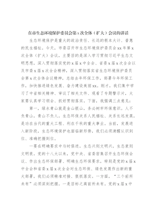 在市生态环境保护委员会第x次全体（扩大）会议的讲话