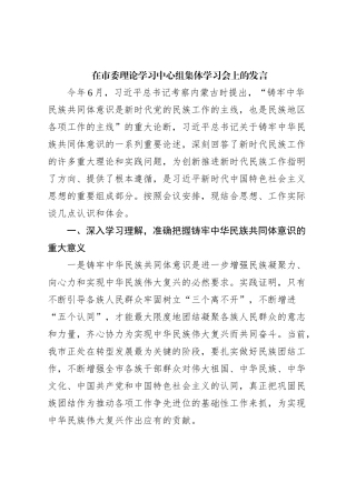 在市委理论学习中心组集体学习会上的发言