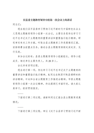 在县委主题教育领导小组第一次会议上的讲话