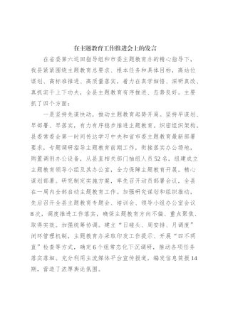在主题教育工作推进会上的发言 (2)