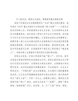 中心组发言：调亮生态底色，厚植高质量发展新优势