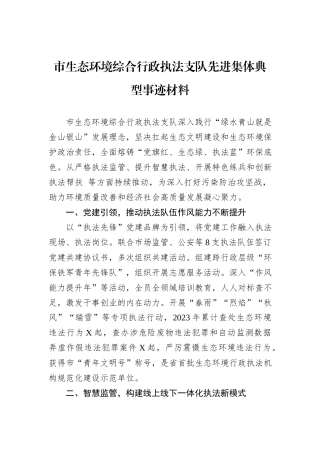 市生态环境综合行政执法支队先进集体典型事迹材料