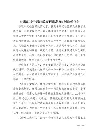 街道纪工委干部纪检监察干部队伍教育整顿心得体会