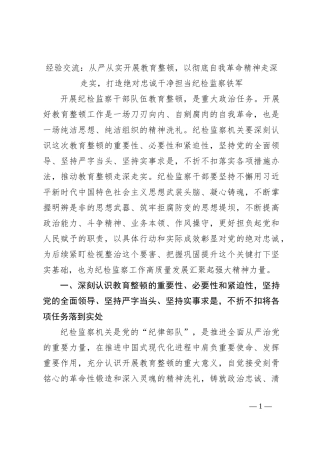 经验交流：从严从实开展教育整顿，以彻底自我革命精神走深走实，打造绝对忠诚干净担当纪检监察铁军