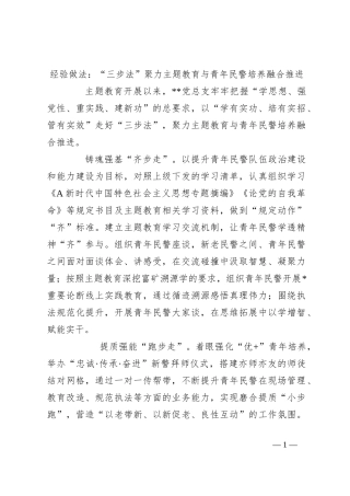 经验做法：“三步法”聚力主题教育与青年民警培养融合推进