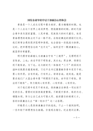 国有企业年轻中层干部廉洁心得体会