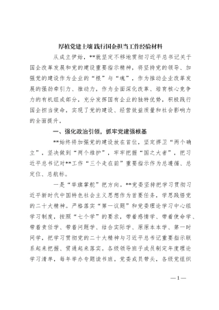 厚植党建土壤 践行国企担当工作经验材料