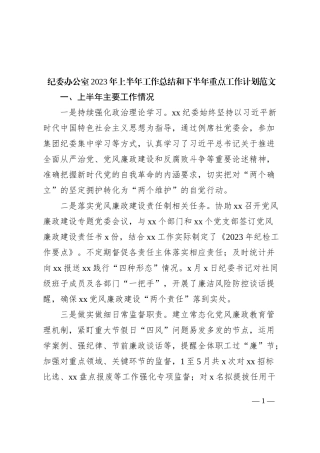 纪委办公室2023年上半年工作总结和下半年计划（汇报报告）