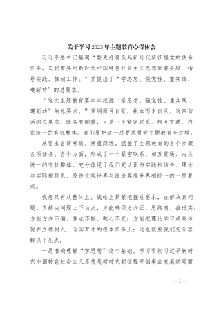 关于学习2023年主题教育心得体会