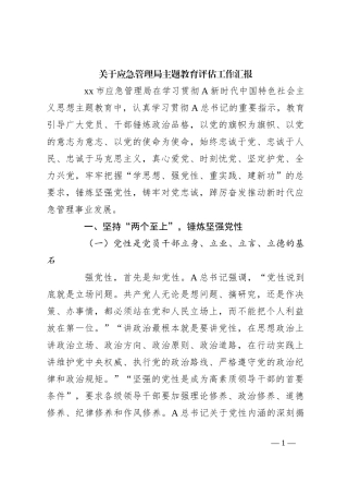关于应急管理局主题教育评估工作汇报