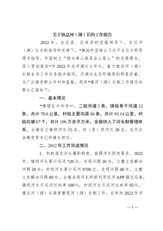 关于镇总河（湖）长的工作报告