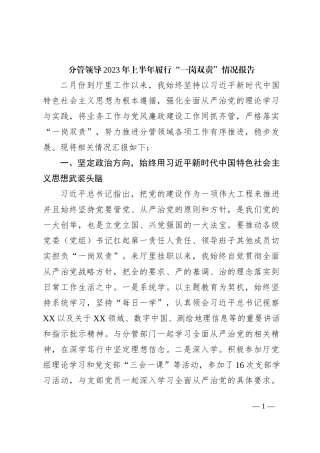分管领导2023年上半年履行“一岗双责”情况报告2