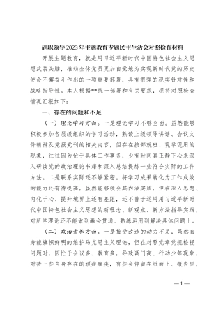副职领导2023年主题教育专题民主生活会对照检查材料