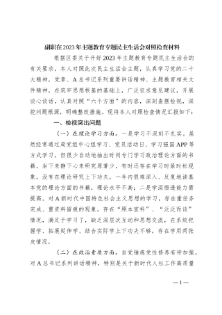 副职在2023年主题教育专题民主生活会对照检查材料