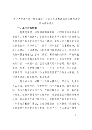 改进作风狠抓落实自查自纠及整改落实工作报告汇报总结
