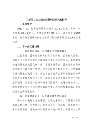 关于某县地方政府债务风险情况的报告