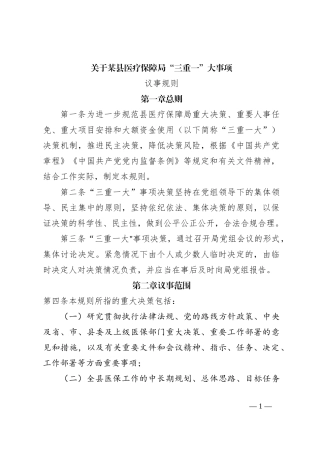 关于某县医疗保障局“三重一”大事项议事规则