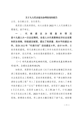 关于人大代表建议办理情况的报告