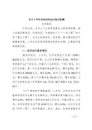 关于上半年某市经济运行统计监测分析报告