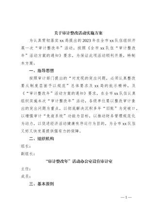 关于审计整改活动实施方案