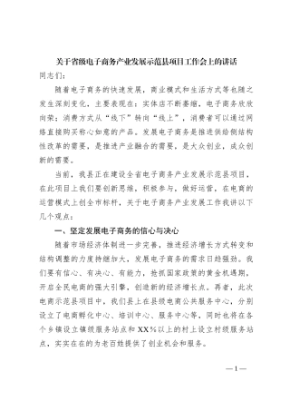 关于省级电子商务产业发展示范县项目工作会上的讲话