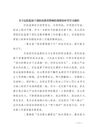 关于纪检监察干部队伍教育整顿检视整治环节学习感悟