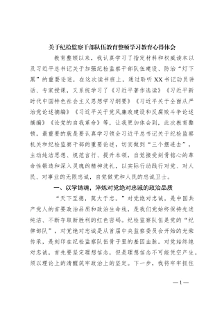 关于纪检监察干部队伍教育整顿学习教育心得体会