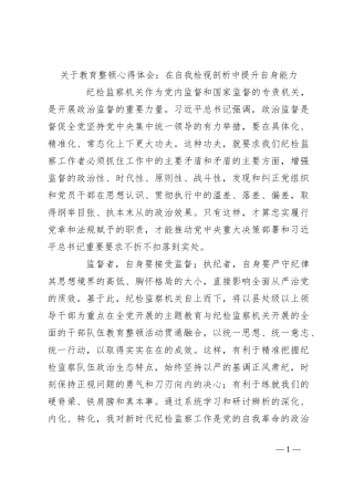 关于教育整顿心得体会：在自我检视剖析中提升自身能力
