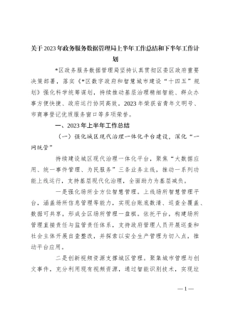 关于2023年政务服务数据管理局上半年工作总结和下半年工作计划