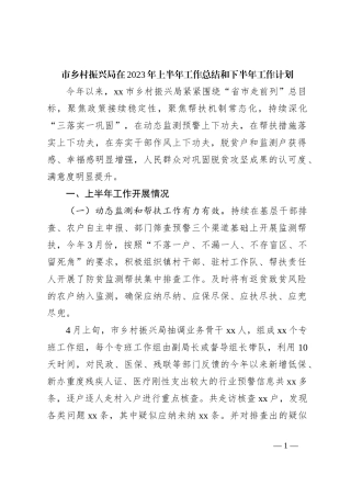 市乡村振兴局在2023年上半年工作总结和下半年工作计划