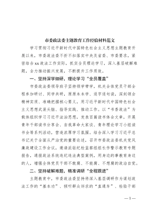市政法部门主题教育工作经验材料委总结汇报报告