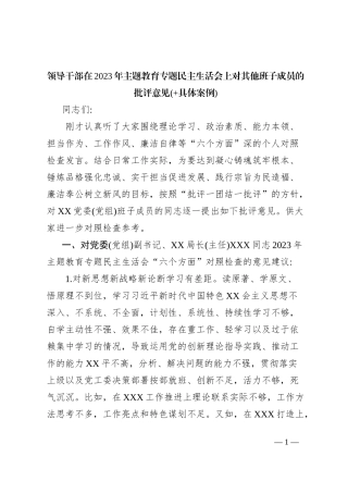 领导干部在2023年主题教育专题民主生活会上对其他班子成员的批评意见(+具体案例)